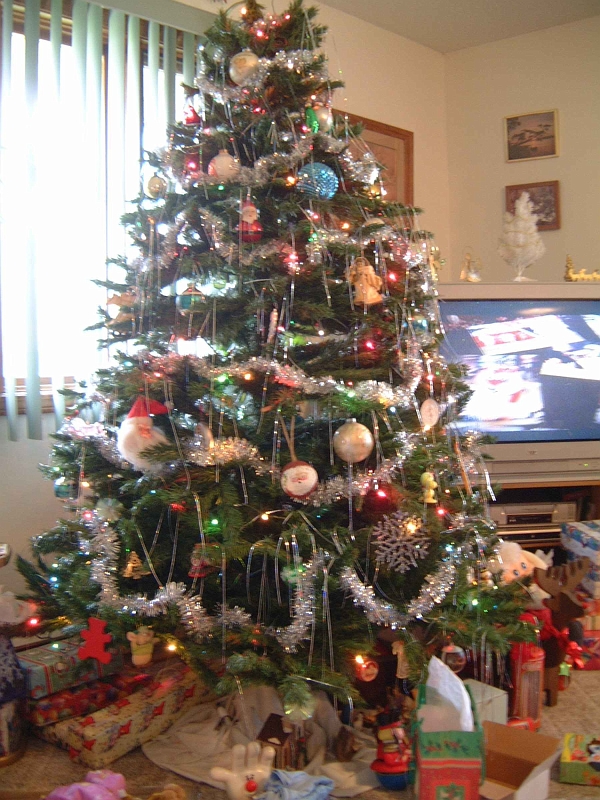 DSCF0954.jpg