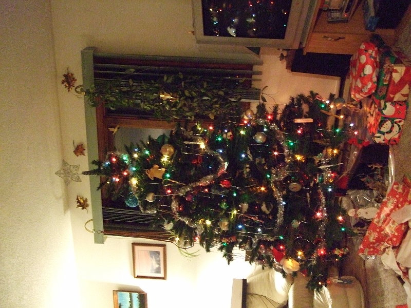 DSCF1673.jpg