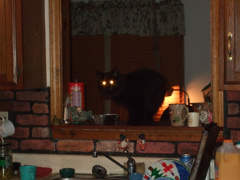 DSCF1695.jpg