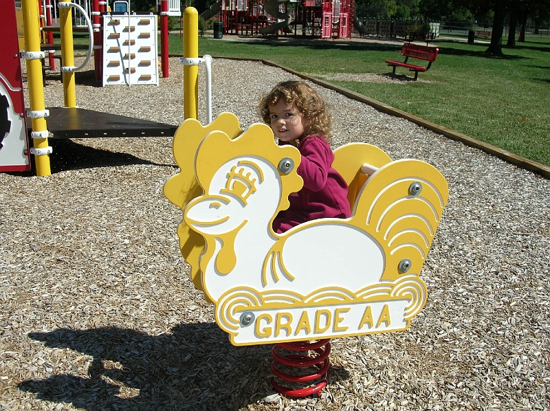 DSCN0735.JPG