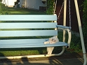 DSC02389_0039
