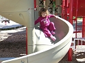 DSCN0729